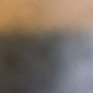 Meet your Posher, Ava